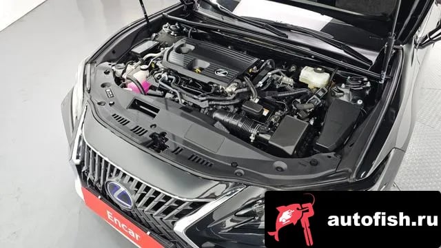 Lexus ES ES300h 7th generation 2022 года - вид 6
