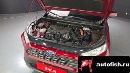 Миниатюра 6