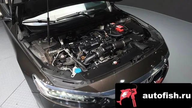 Honda Accord Accord 10th Generation 2019 года - вид 6