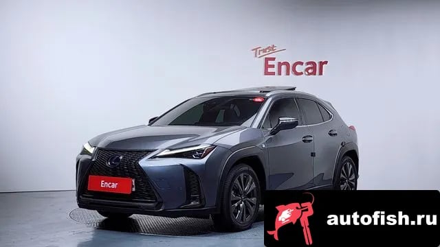 Lexus UX UX250h 2020 года - вид 1