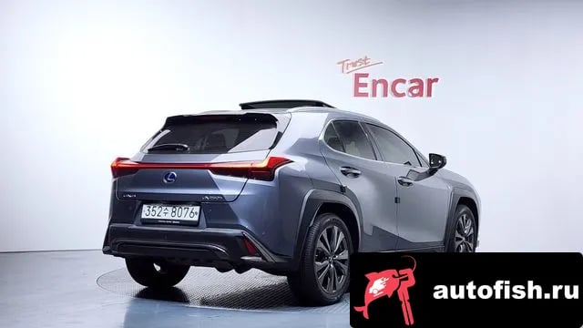 Lexus UX UX250h 2020 года - вид 2