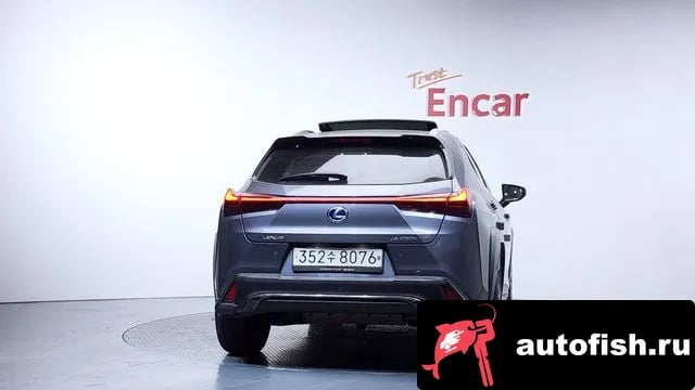 Lexus UX UX250h 2020 года - вид 4