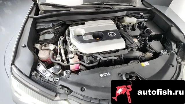 Lexus UX UX250h 2020 года - вид 6