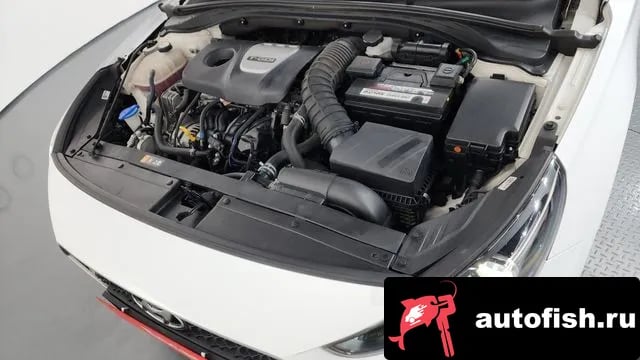 Hyundai i30 i30 (PD) 2020 года - вид 6