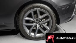 Миниатюра 5