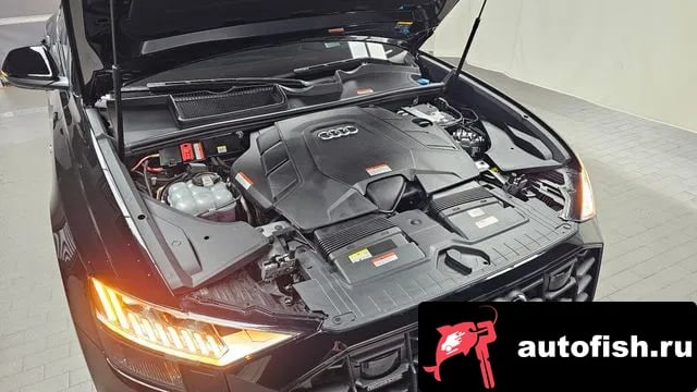 Audi Q8 Q8 (4M) 2024 года - вид 6