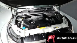 Миниатюра 6