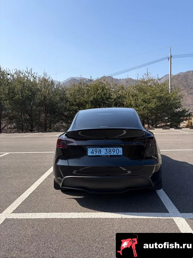 Tesla Model Y Model Y 2024 года - похожие автомобили