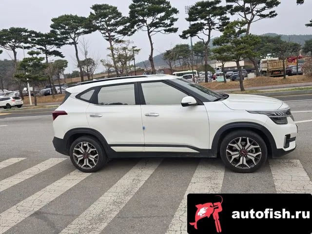 Kia Seltos Celtos 2020 года - вид 4