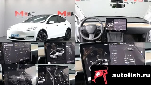 Tesla Model Y Model Y 2023 года - похожие автомобили