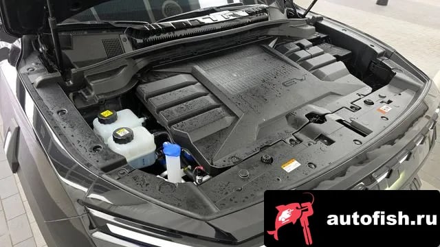 KG Mobility (Ssangyong) Musso Musso EV (O100) 2025 года - вид 6