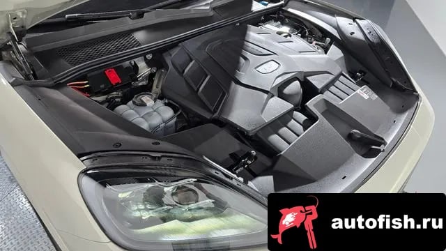 Porsche Cayenne Cayenne (PO536) 2025 года - вид 6
