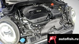 Миниатюра 6