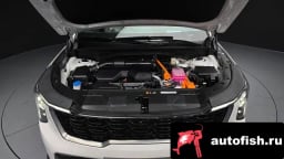 Миниатюра 6