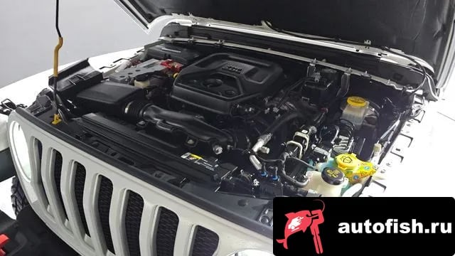 Jeep Wrangler Wrangler (JL) 2021 года - вид 6