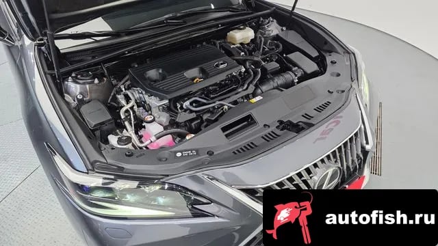 Lexus ES ES300h 7th generation 2024 года - вид 6