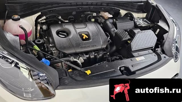 Kia Sportage Sportage The Bold 2020 года - вид 6