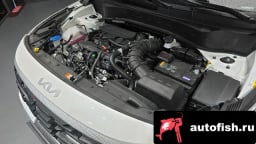 Миниатюра 6