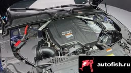 Миниатюра 6