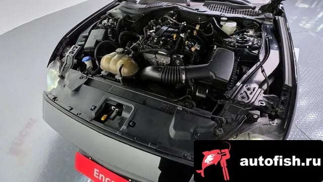 Ford Mustang Mustang 2020 года - похожие автомобили