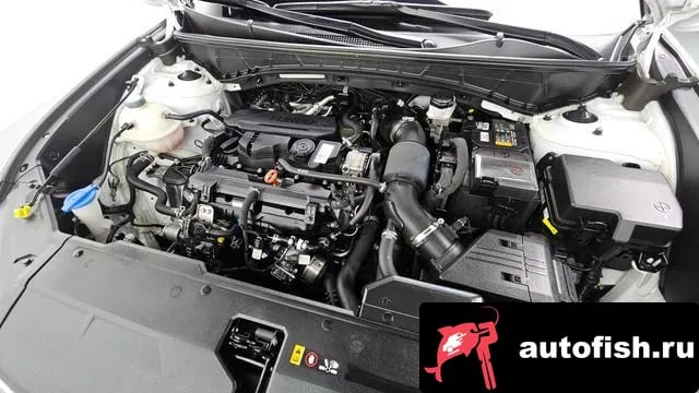 Hyundai Tucson Tucson (NX4) 2022 года - вид 6