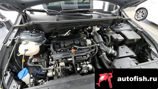Kia Sportage Sportage 5th Generation 2023 года - вид 6
