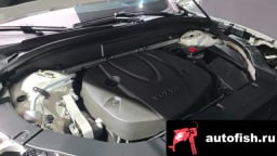 Миниатюра 6