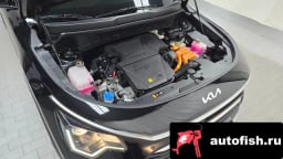 Миниатюра 6