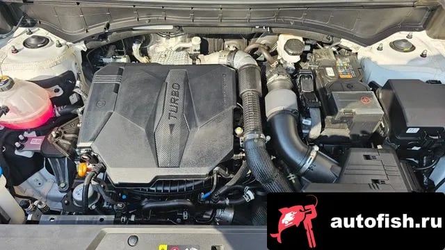 Hyundai Santafe San Tafe (MX5) 2024 года - вид 6