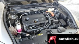 Миниатюра 6