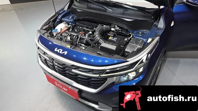 Kia Seltos The New Celtos 2024 года - вид 6