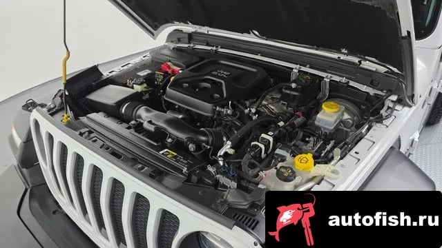 Jeep Wrangler Wrangler (JL) 2019 года - вид 6