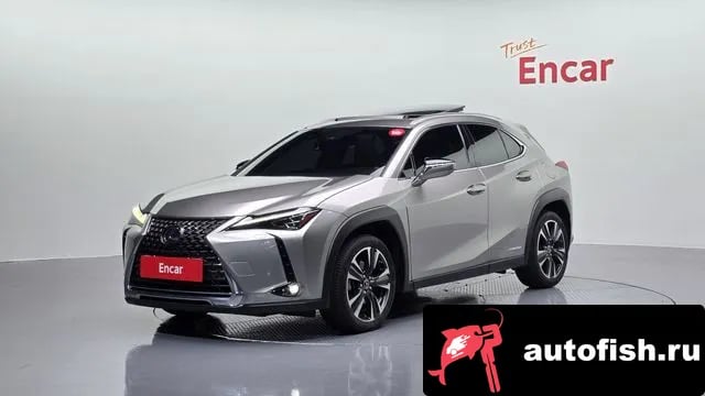 Lexus UX UX250h 2021 года - вид 1