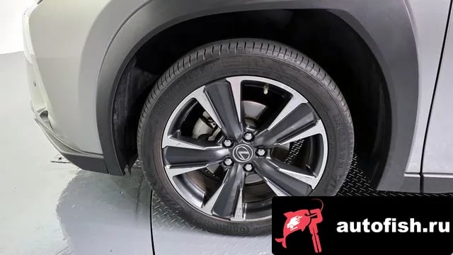 Lexus UX UX250h 2021 года - вид 5