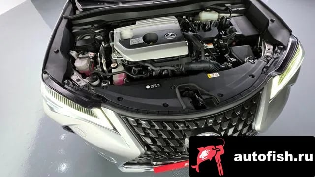 Lexus UX UX250h 2021 года - вид 6