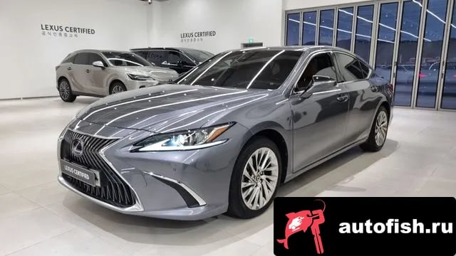 Lexus ES ES300h 7th generation 2021 года - вид 1