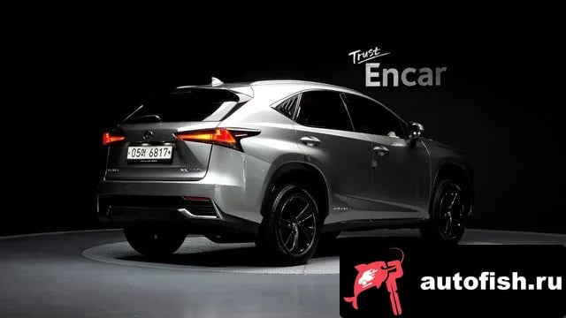 Lexus NX NX300h 2018 года - вид 1