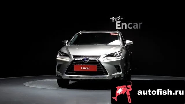 Lexus NX NX300h 2018 года - вид 2