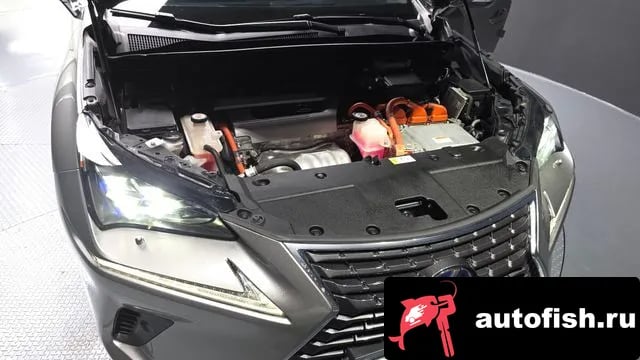 Lexus NX NX300h 2018 года - вид 5