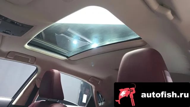 Lexus NX NX300h 2018 года - похожие автомобили