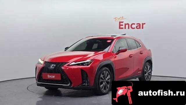 Lexus UX UX250h 2020 года - вид 1