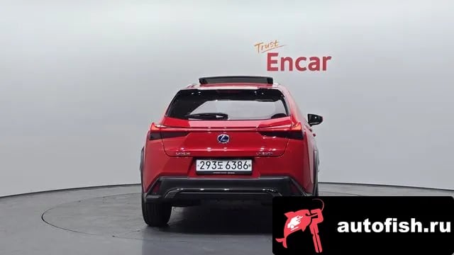Lexus UX UX250h 2020 года - вид 4