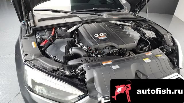 Audi A5 A5 (F5) 2023 года - вид 6