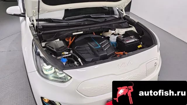 Kia Niro Niro EV 2021 года - вид 6