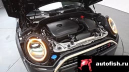 Миниатюра 5