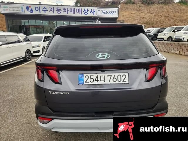 Hyundai Tucson The New Tucson (NX4) 2025 года - вид 6