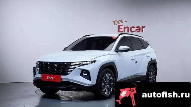Hyundai Tucson Tucson Hybrid (NX4) 2023 года - вид 1