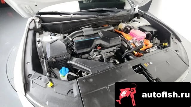 Hyundai Tucson Tucson Hybrid (NX4) 2023 года - вид 6