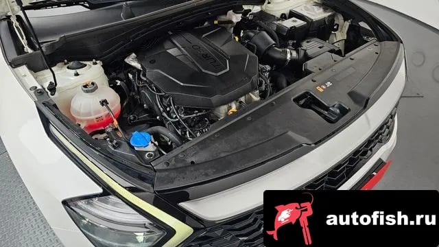 Kia Sportage Sportage 5th Generation 2022 года - вид 5