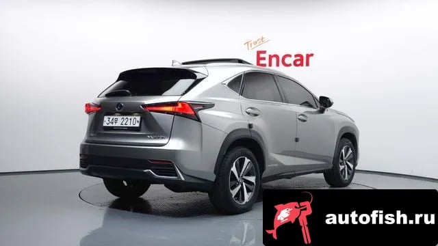 Lexus NX NX300h 2018 года - вид 2